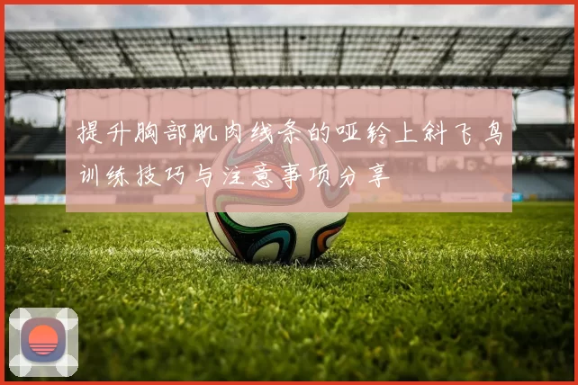 提升胸部肌肉线条的哑铃上斜飞鸟训练技巧与注意事项分享