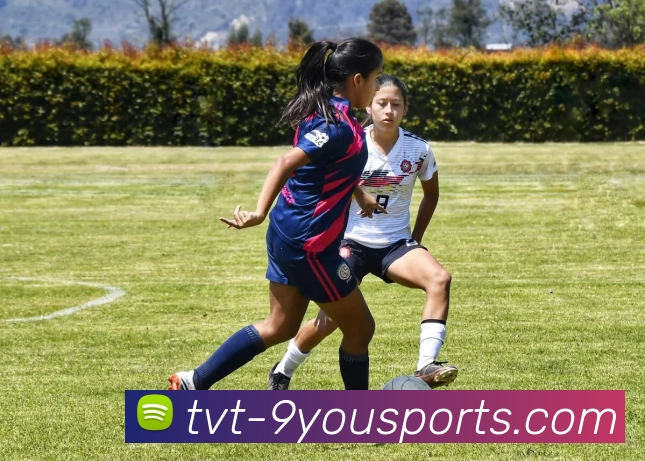 JIUYOU平台生态图